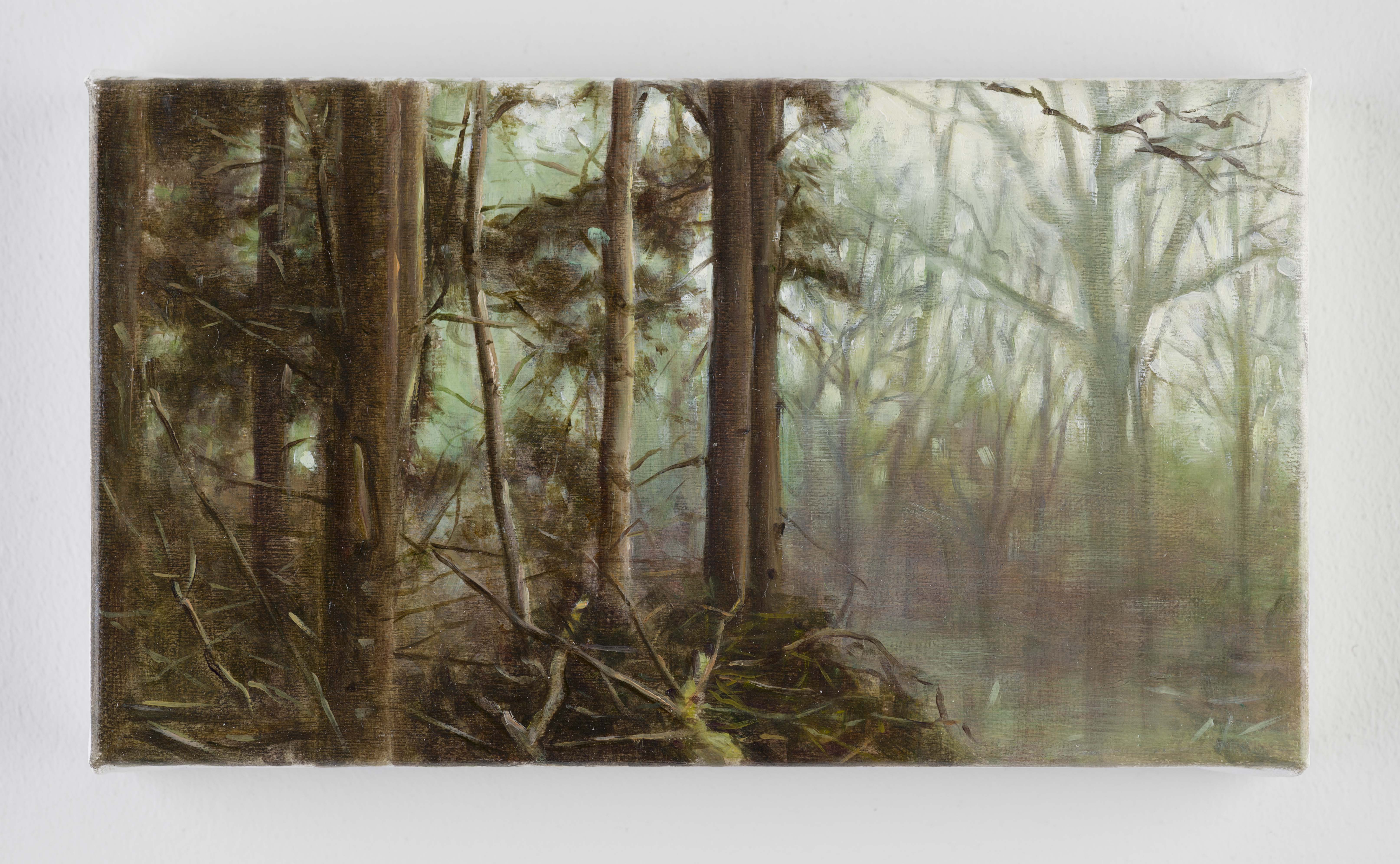 Robert Devriendt, fragment van The scene with an exploding Aston Martin and the Egomaniac girl, 2013.