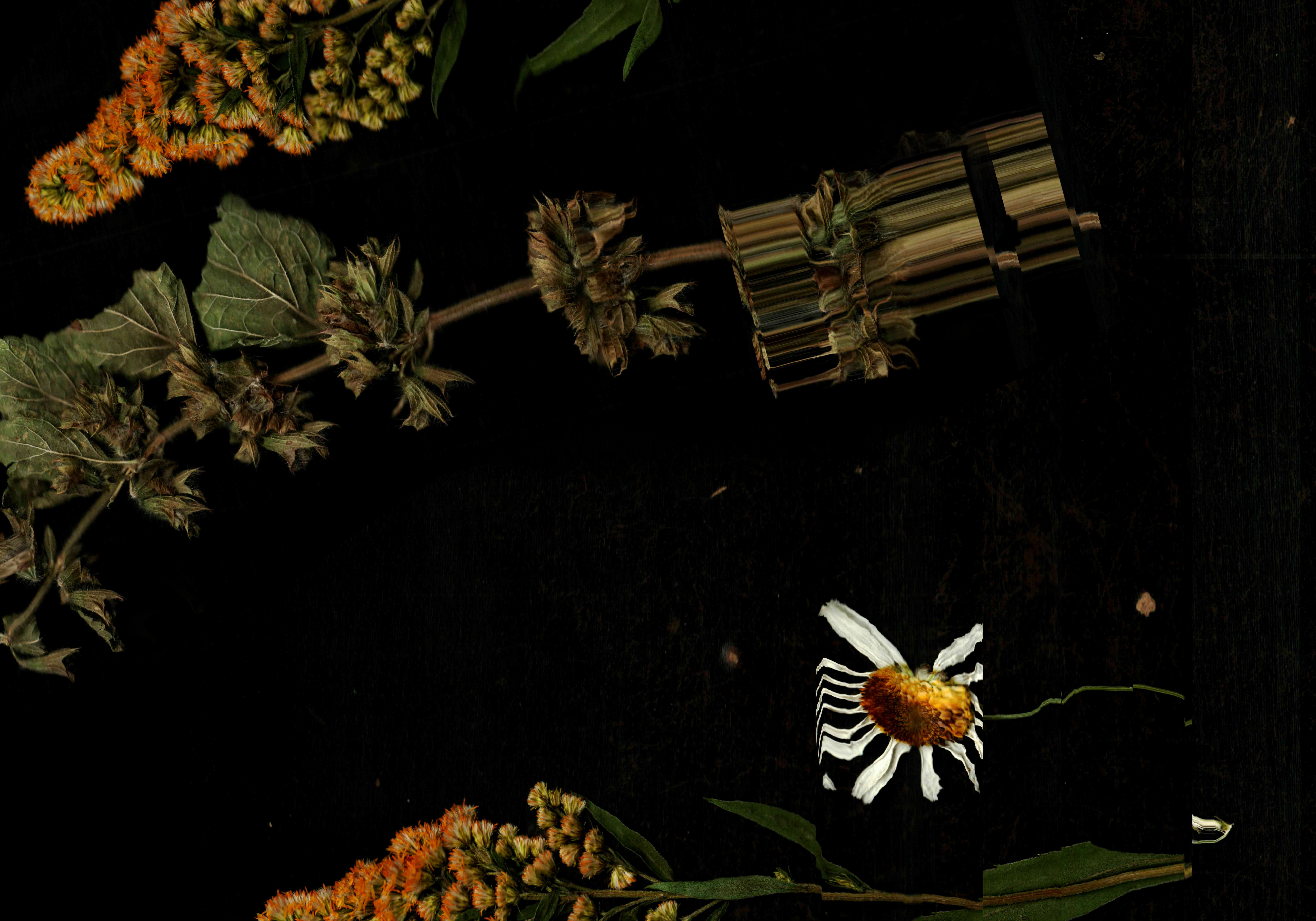 Druipende anjers vierkante rozen (c) Betul Sefika