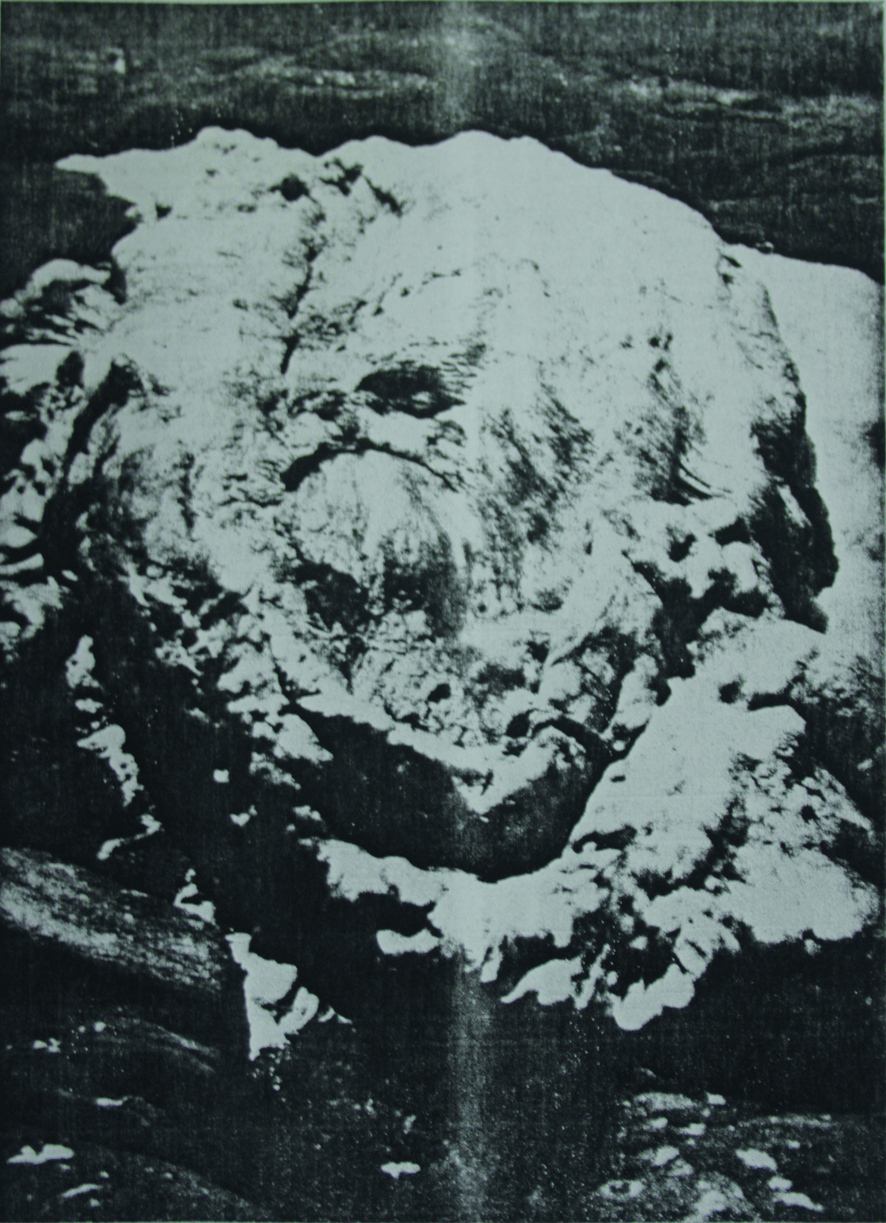 Natal Patria (2011) Inkjet Print (c) Bianca Baldi