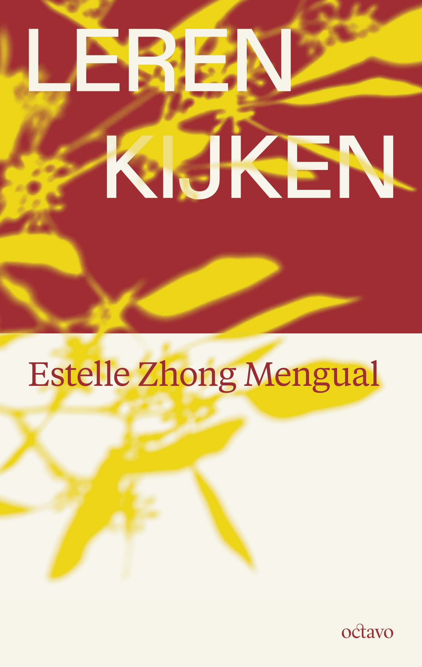 Estelle Zhong Mengual, Leren kijken , vertaald door Liesbeth van Nes, 304 pag., 34,50 euro, Octavo, 2024