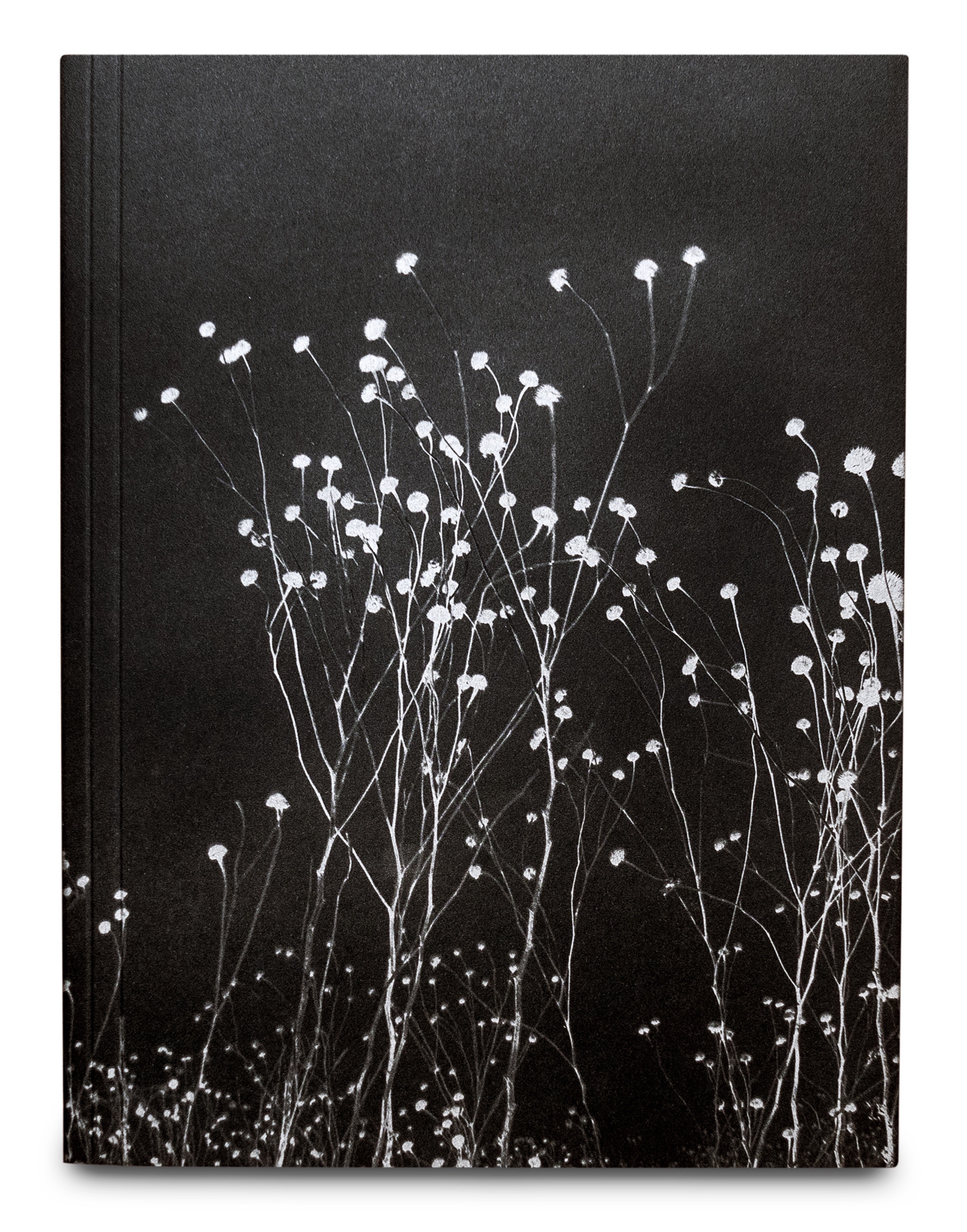 Léonard Pongo, The Uncanny , GOST Books, London, 2023