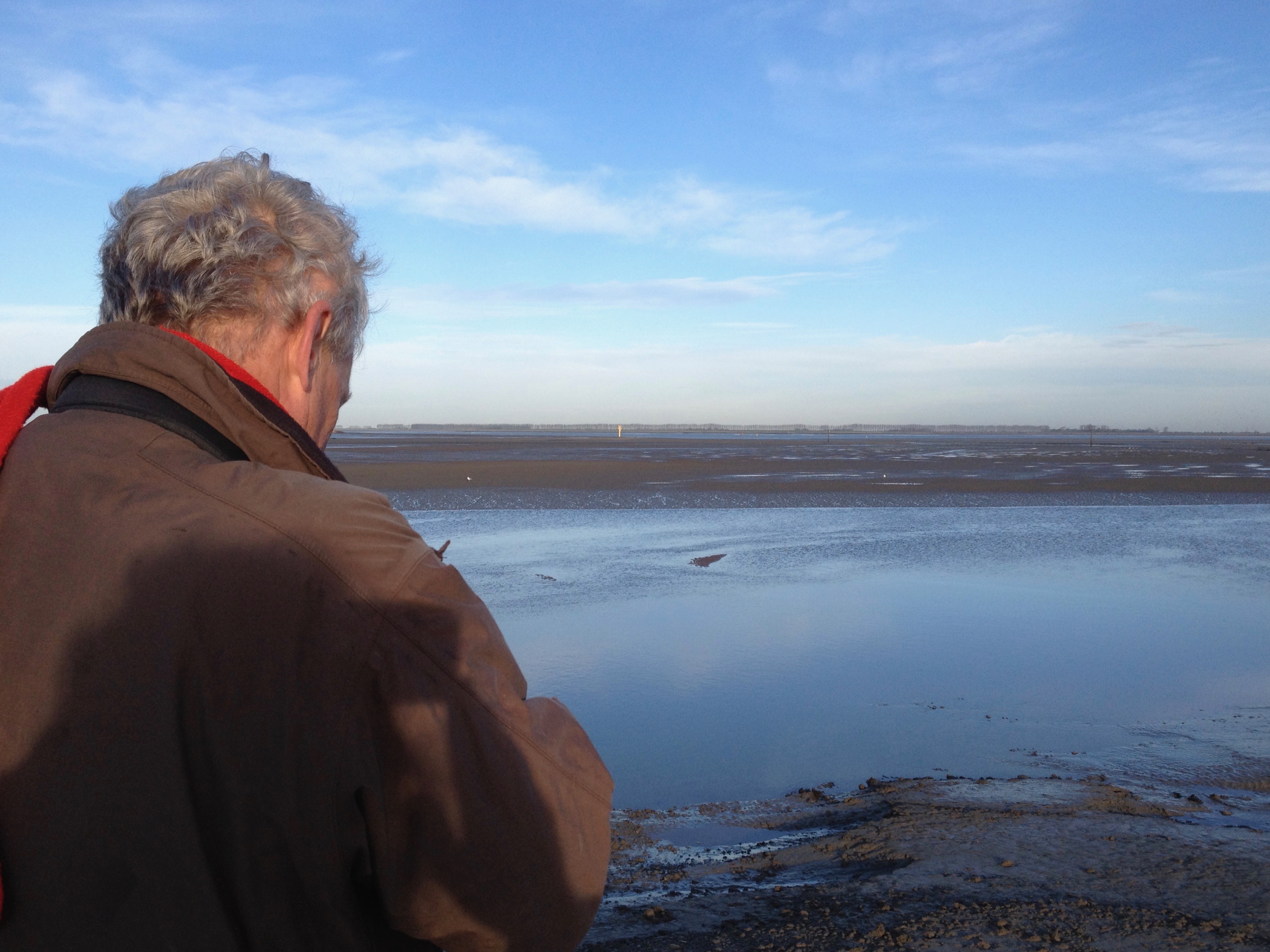 H. Castelijns in Saeftinghe, foto Barbara De Coninck