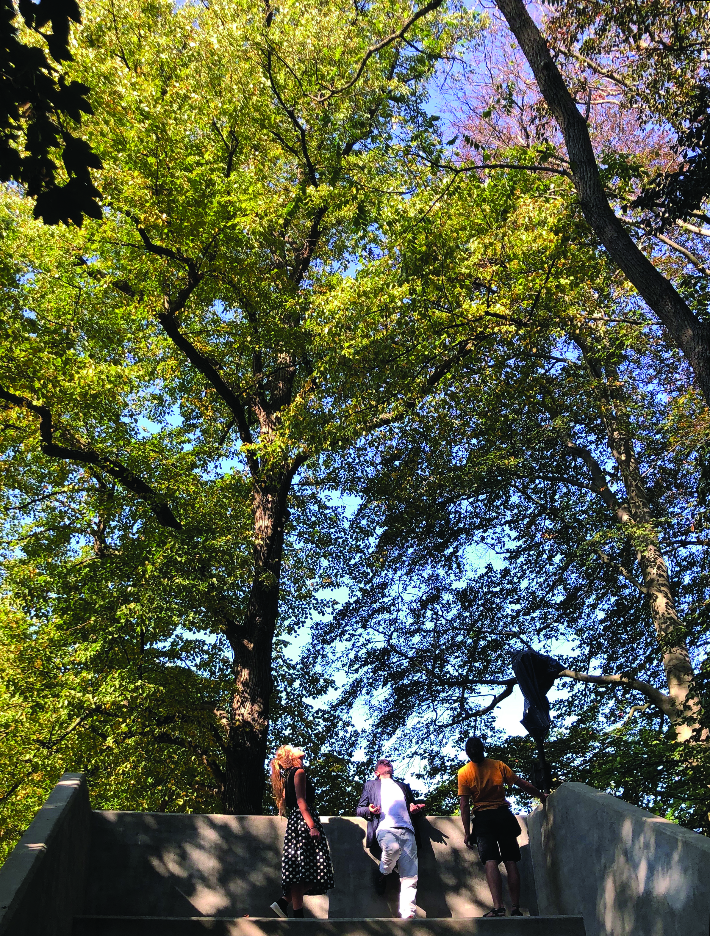 Hans Theys lesgevend op 26 september 2020 in De Nor, een sculptuur van Dennis Tyfus in het Middelheimmuseum, foto Anna Godzina