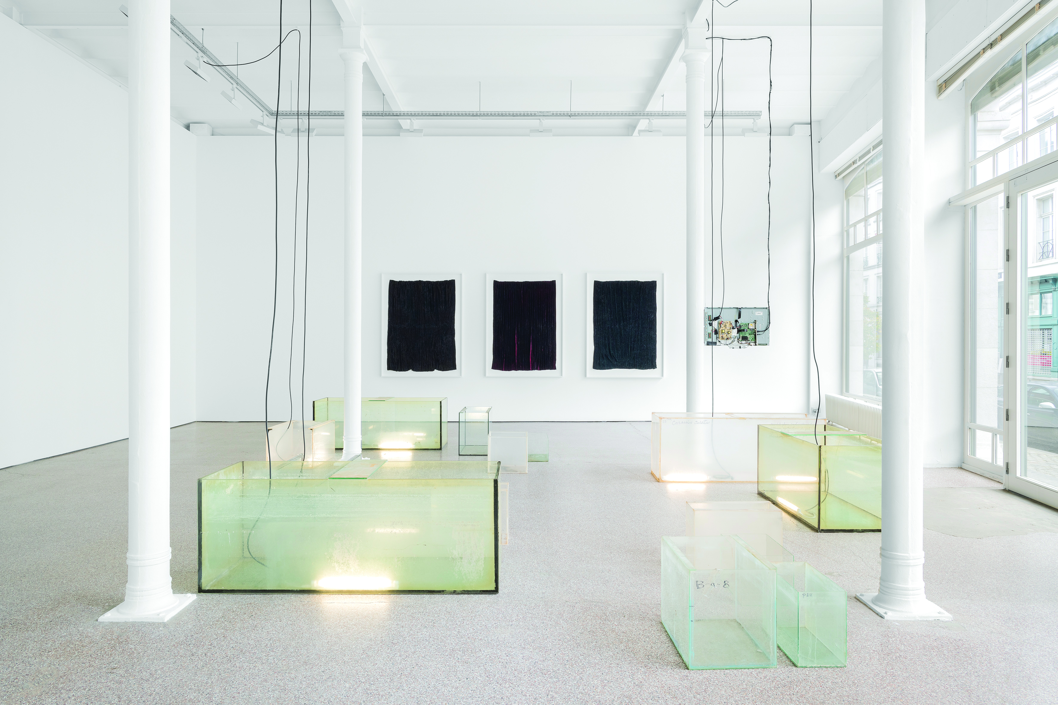 Edith Dekyndt, The Ghost Year , 2021, courtesy de kunstenaar en Galerie Greta Meert