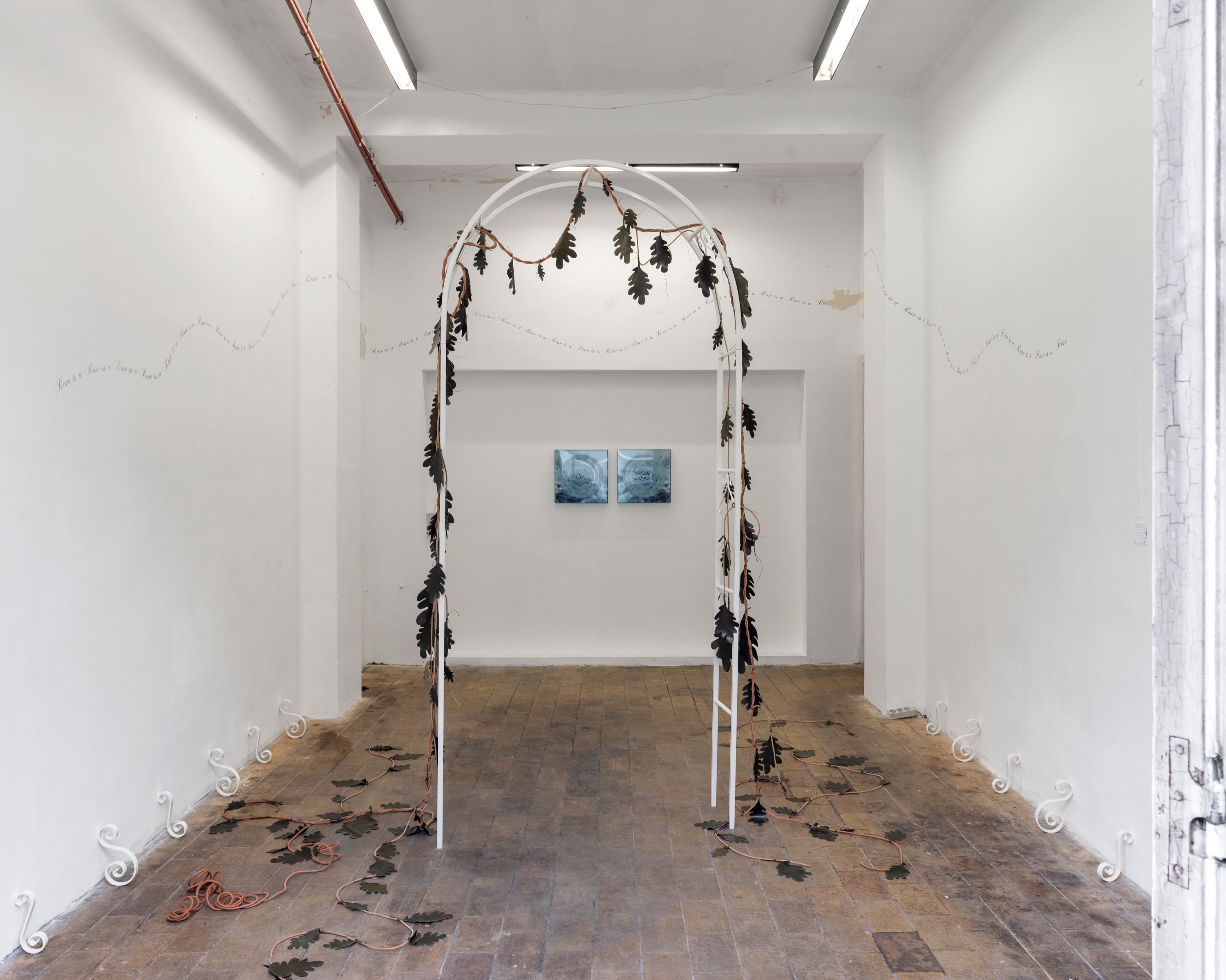 Tentoonstellingszicht Doris Hardeman, Rose is a rose is a rose , 2022, Spare Wheel, Brussel, foto Fabien Silvestre Suzor