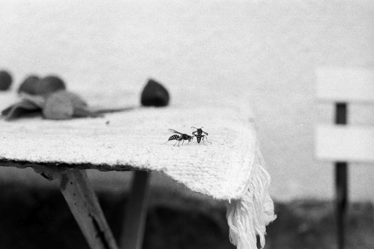 Katinka Bock, rendez-vous, 2019, silver gelatin print