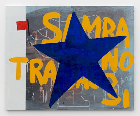 Walter Swennen, I.M. Fidel , 2016, acryl en olieverf op canvas, 130,5 x 160,5 x 3 cm, courtesy de kunstenaar en Xavier Hufkens, foto HV-studio