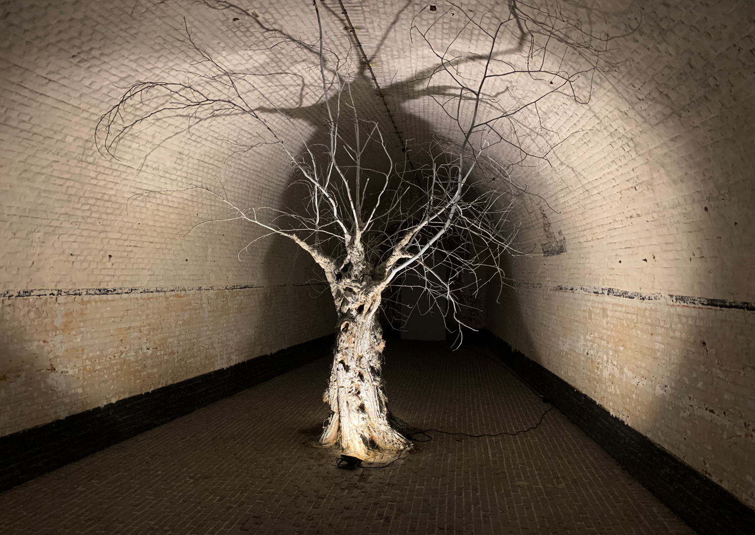 Ine Lammers, Alexandra Cool, Bie Garcet, uit de installatie Geworteld , foto Wilfried Breugelmans