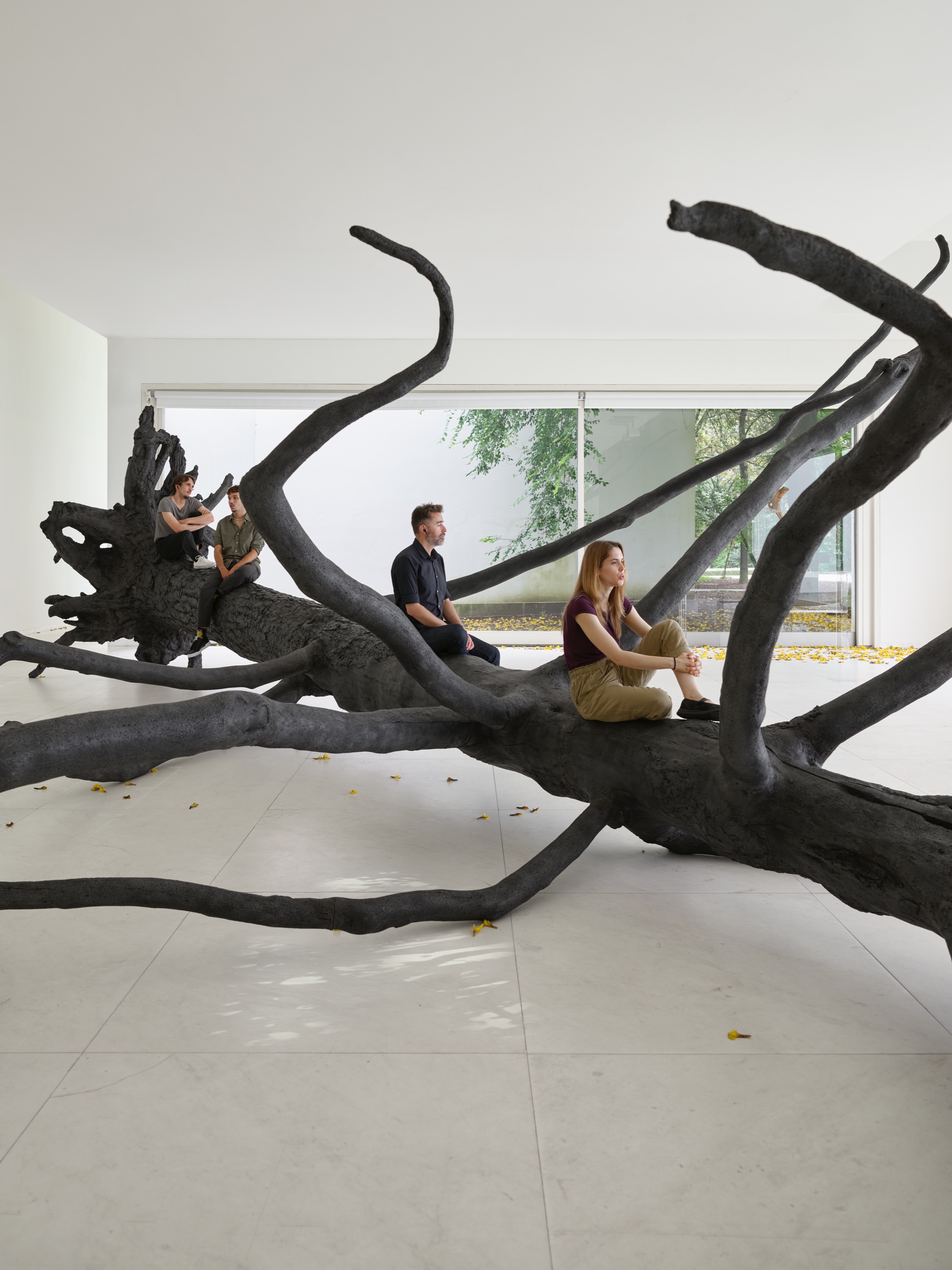 Installation view Allora & Calzadilla, Entelechy , 2023, Serralves Museum of Contemporary Art, Porto, © Filipe Braga