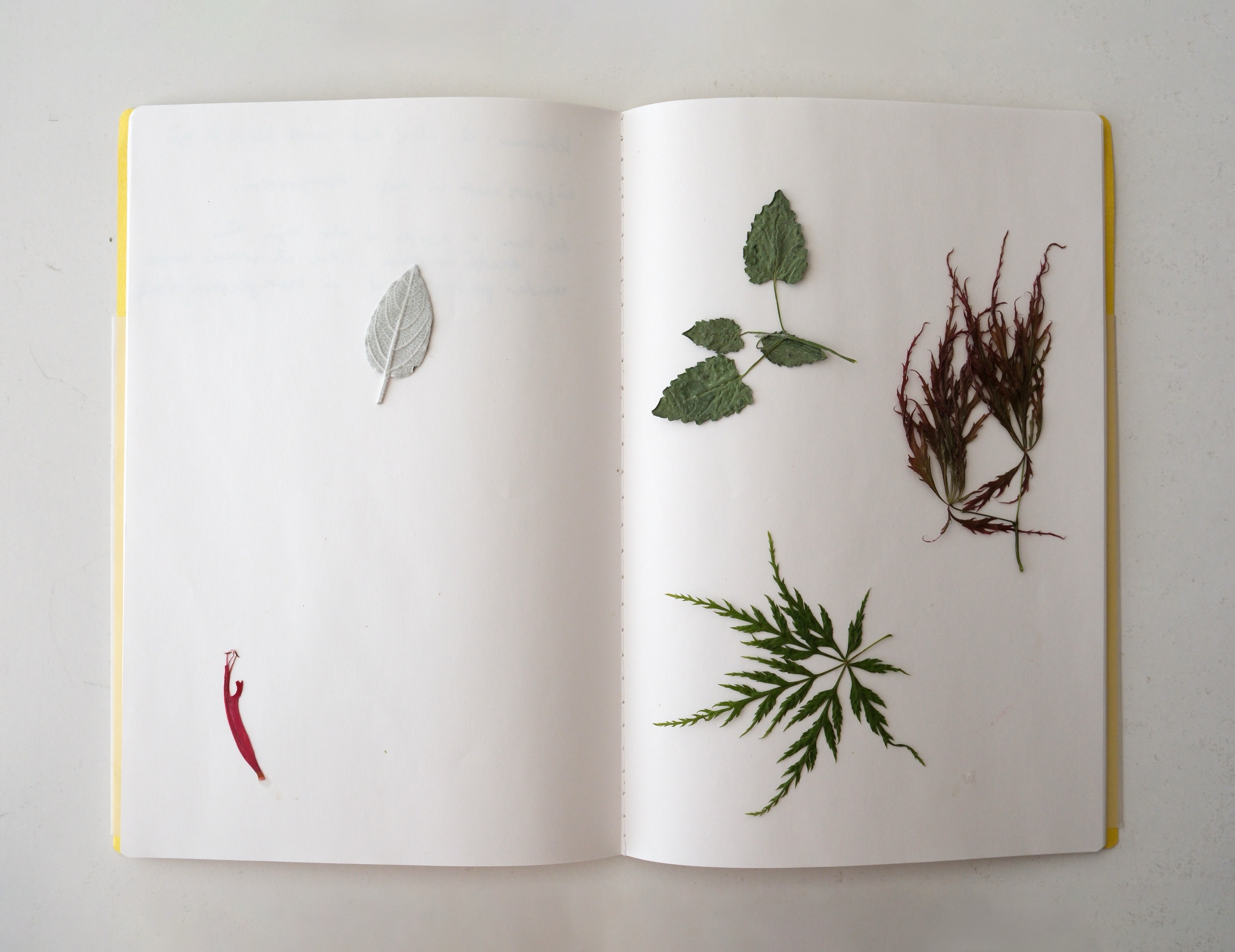 Courtesy © Anne Daems