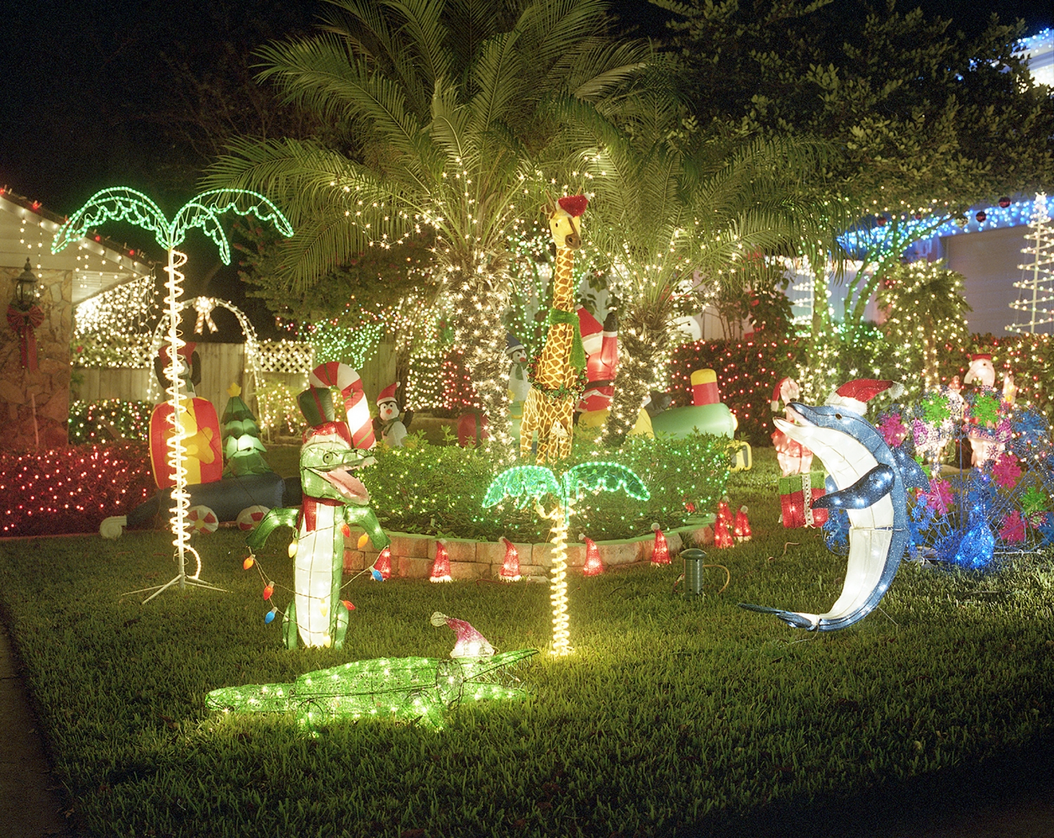 Valentina Stellino, 2014