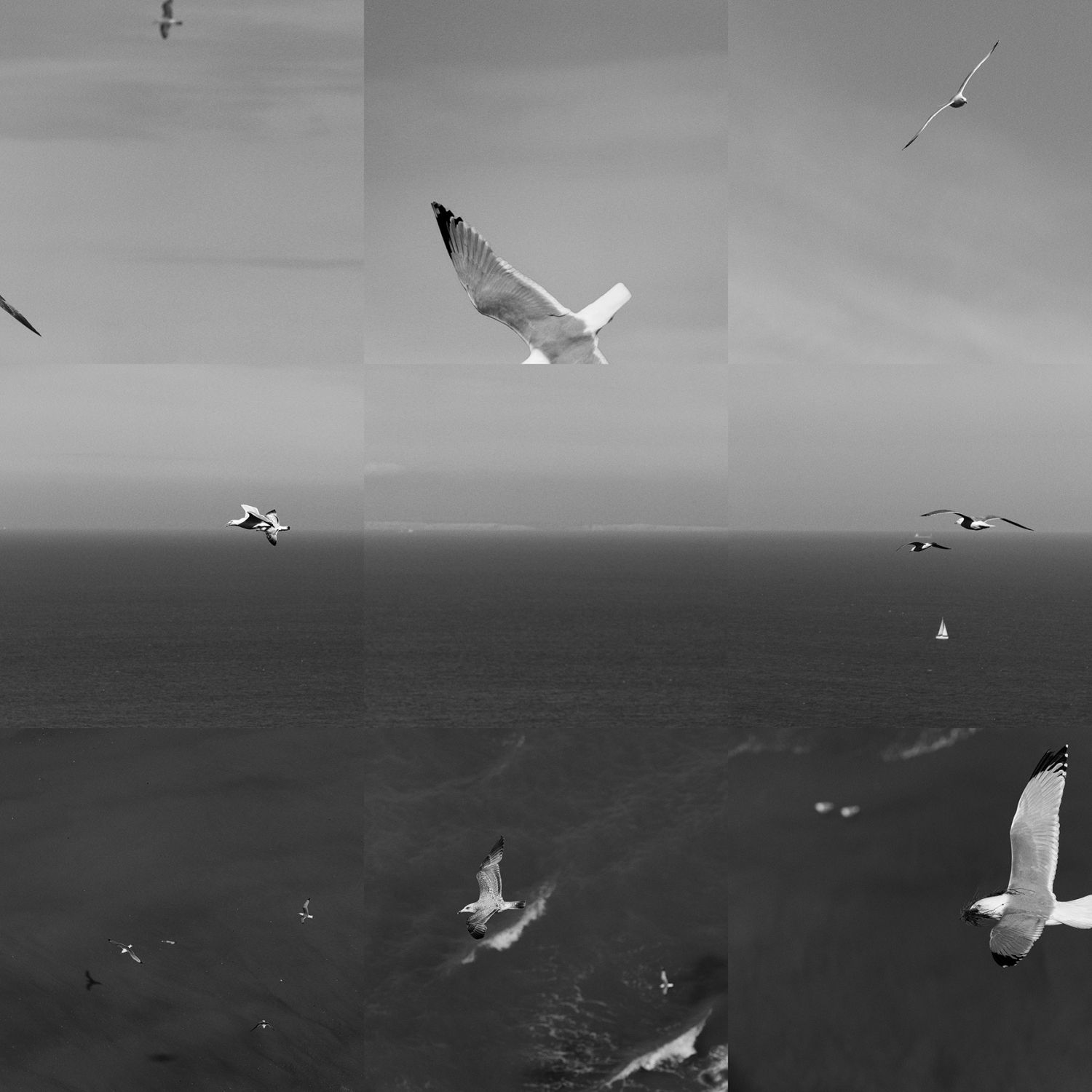 Marie-Francoise Plissart, ‘Cap Blanc Nez’ © Marie-Francoise Plissart