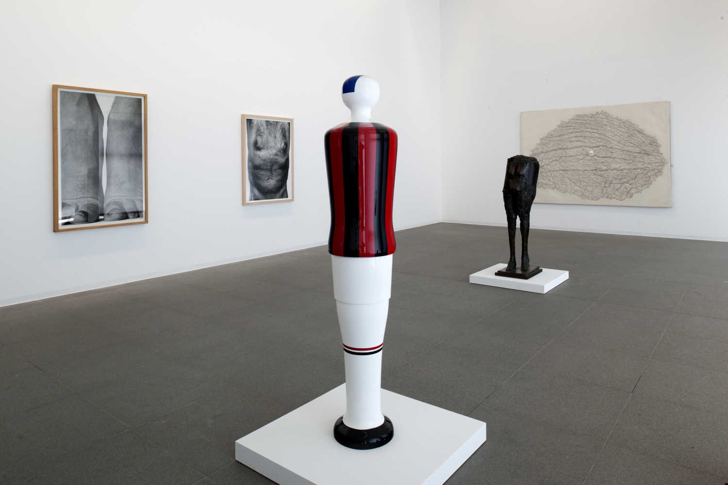 Vue de l’exposition ‘My Body is a Cage’, collection MAC Marseille, photo Ph. De Gober