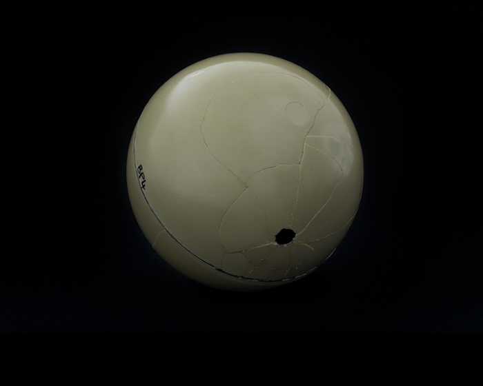 Lieven Lefere, 'Skull BP4', 2016