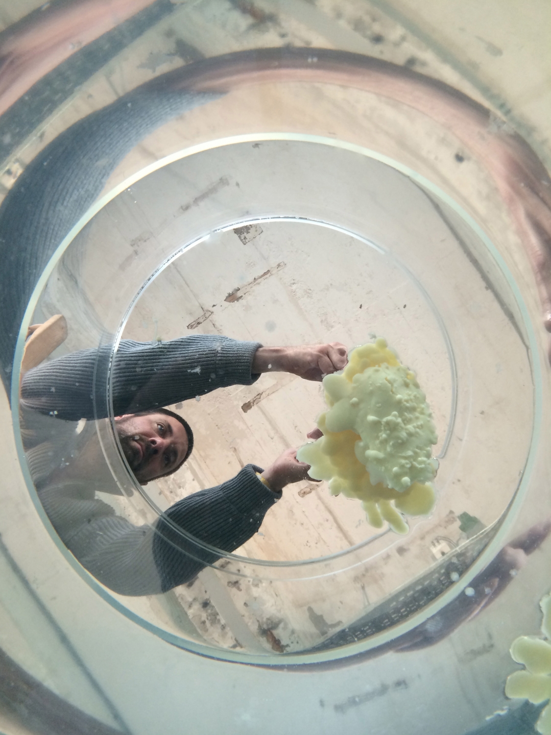 Mike Thompson & Arne Hendriks, ‘Fatberg’, photo Vivian Hartung / Mila Chorbadzhieva