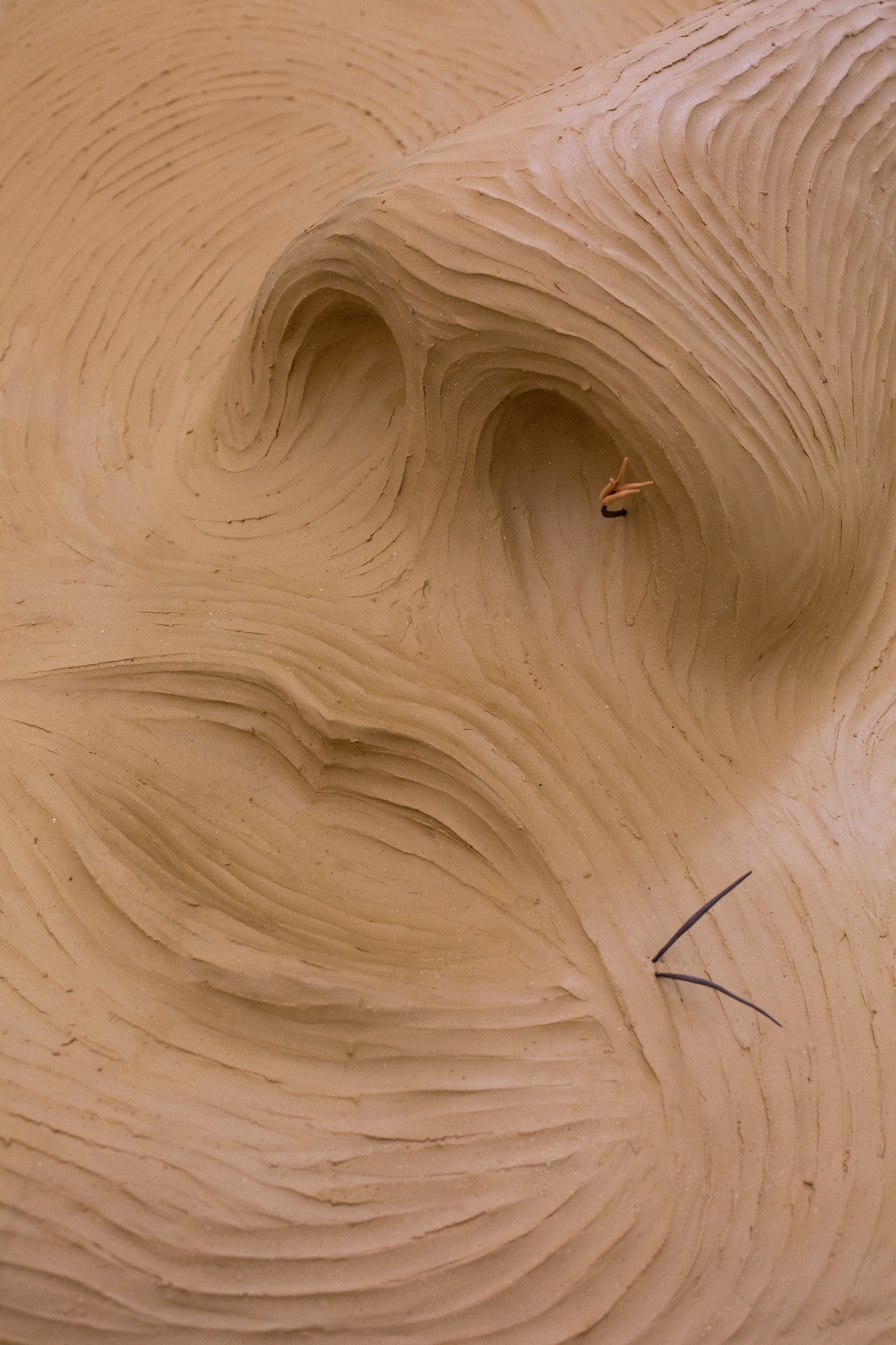 Installatiezicht Clara Spilliaert, Hairy Tale , 2023, Lichtekooi, Antwerpen, foto Thor Salden