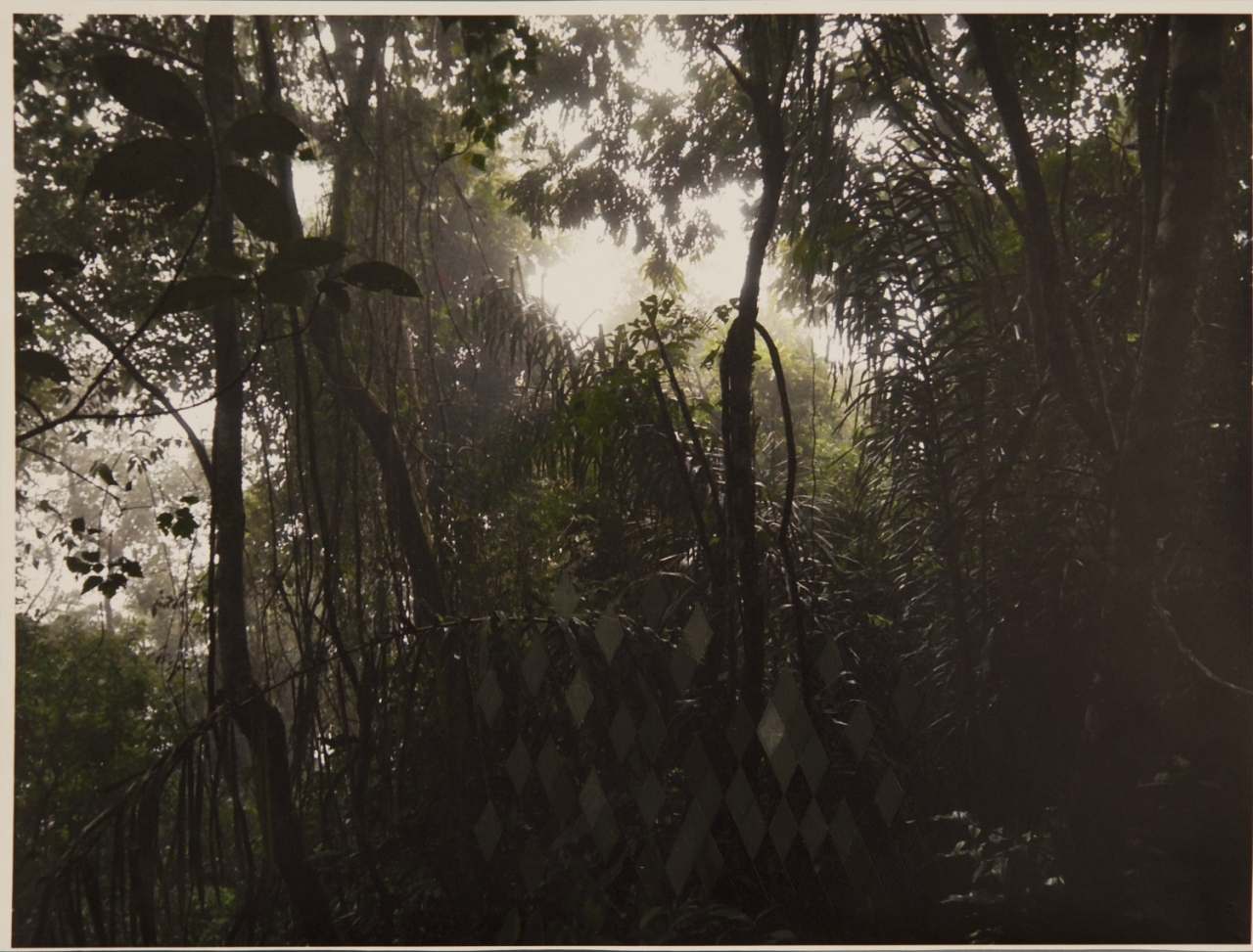 Courtesy of the artist and Mendes Wood DM São Paulo, Brussels and New York