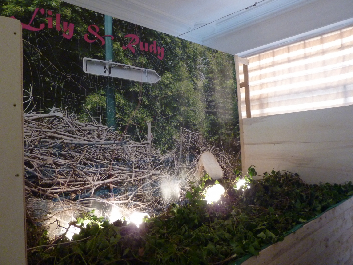 Danny Devos, ‘Lily & Rudy’, 2016, foto DDV