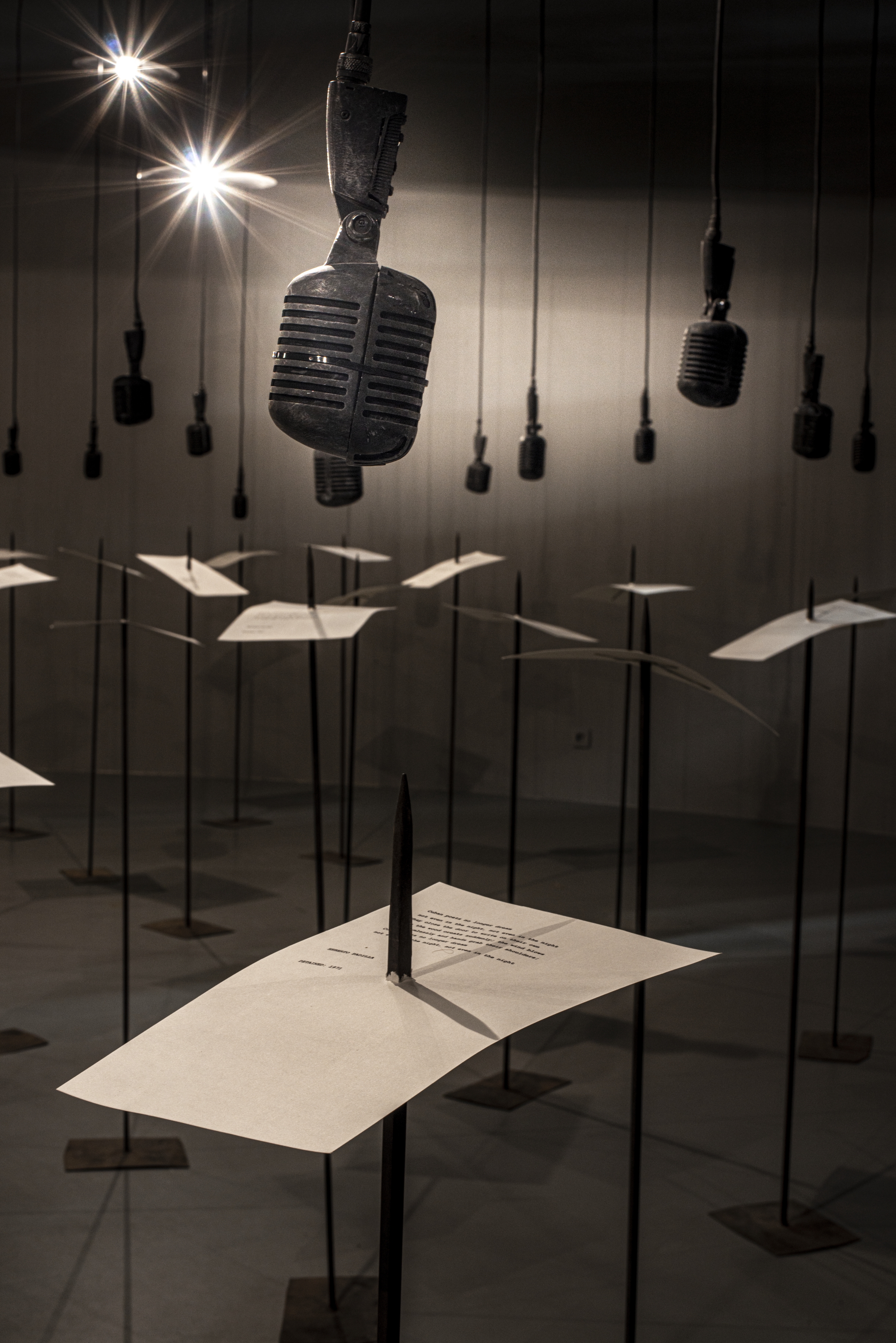 Shilpa Gupta, For, In Your Tongue, I Cannot Fit , 2017-2018 – Foto © M HKA / Christine Clinckx