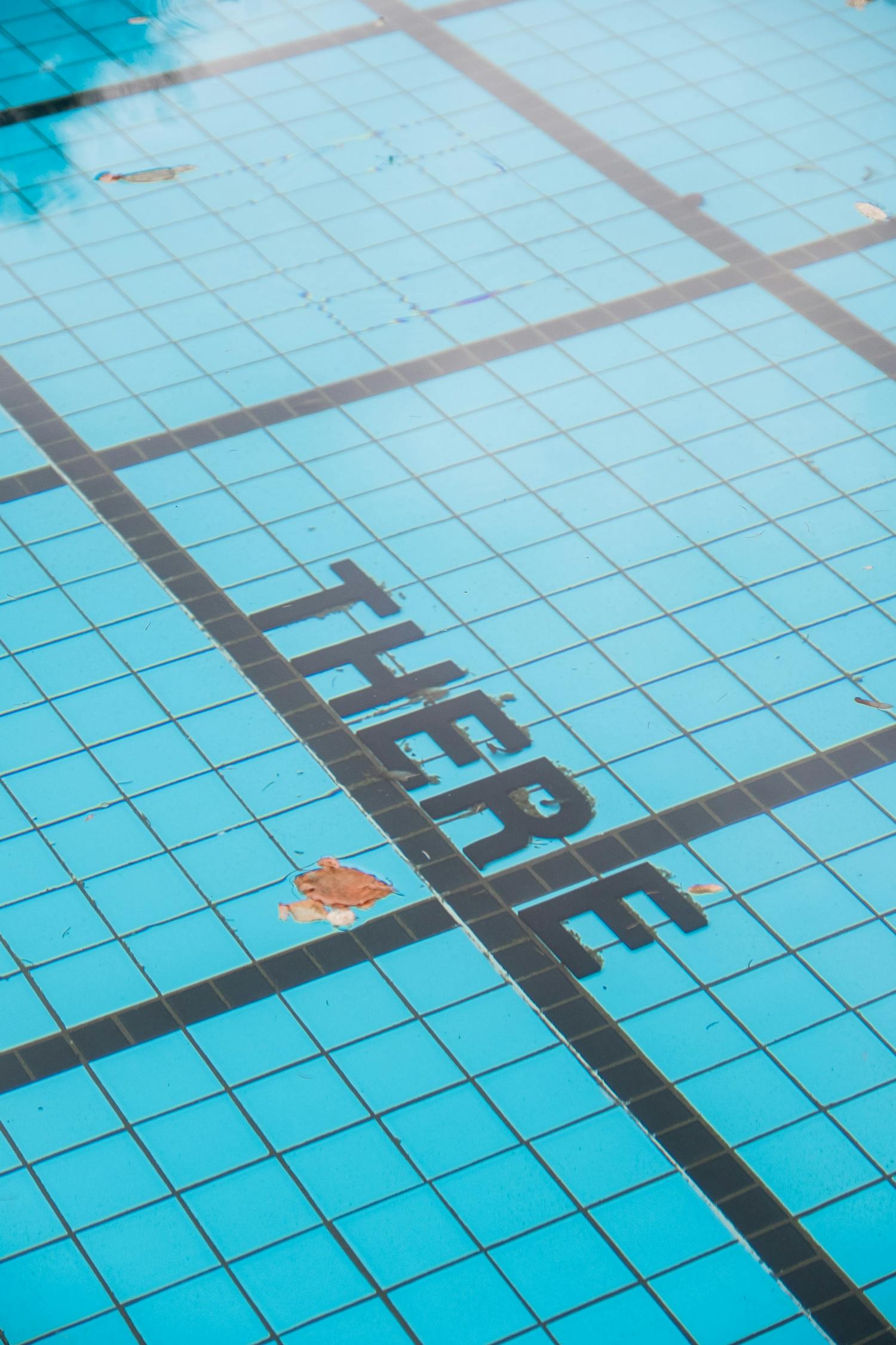 Franklin crabbe essay 05 picture