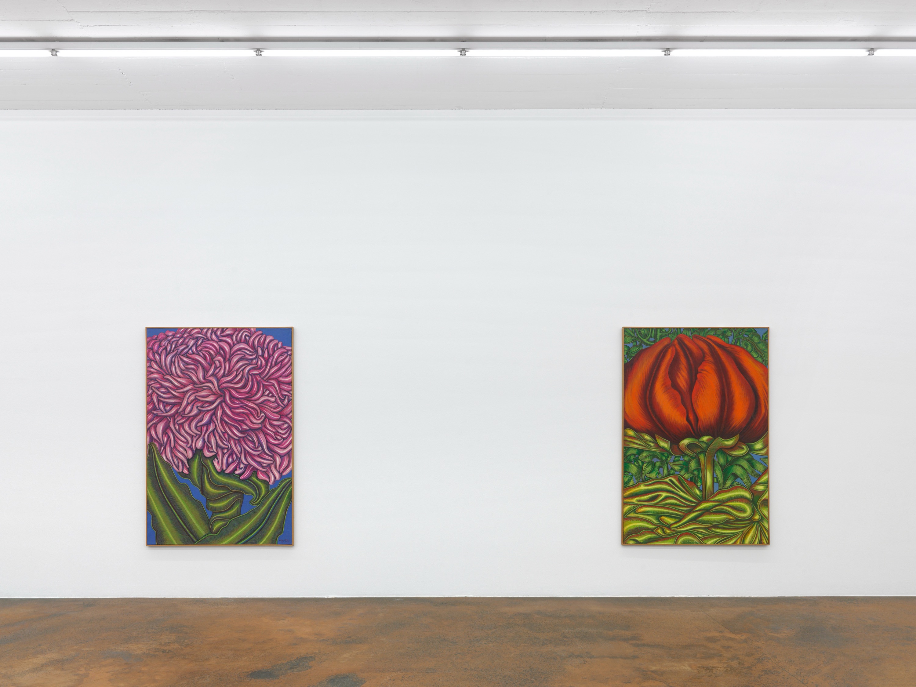 Installation view Emma Reyes, 2023–2024, MAMCO, Geneva, © Annik Wetter – MAMCO, photo Annik Wetter