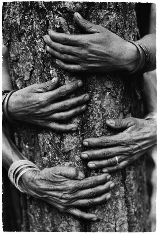 Pamela Singh, Chipko Tree Huggers of the Himalayas #4 , 1994, courtesy sepiaEYE, © Pamela Singh