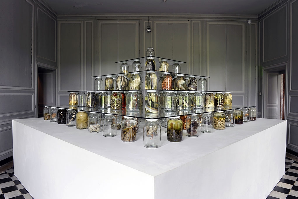 Installatiezicht van ‘Prelude to the collapse of the North Atlantic’ van Brandon Ballangée