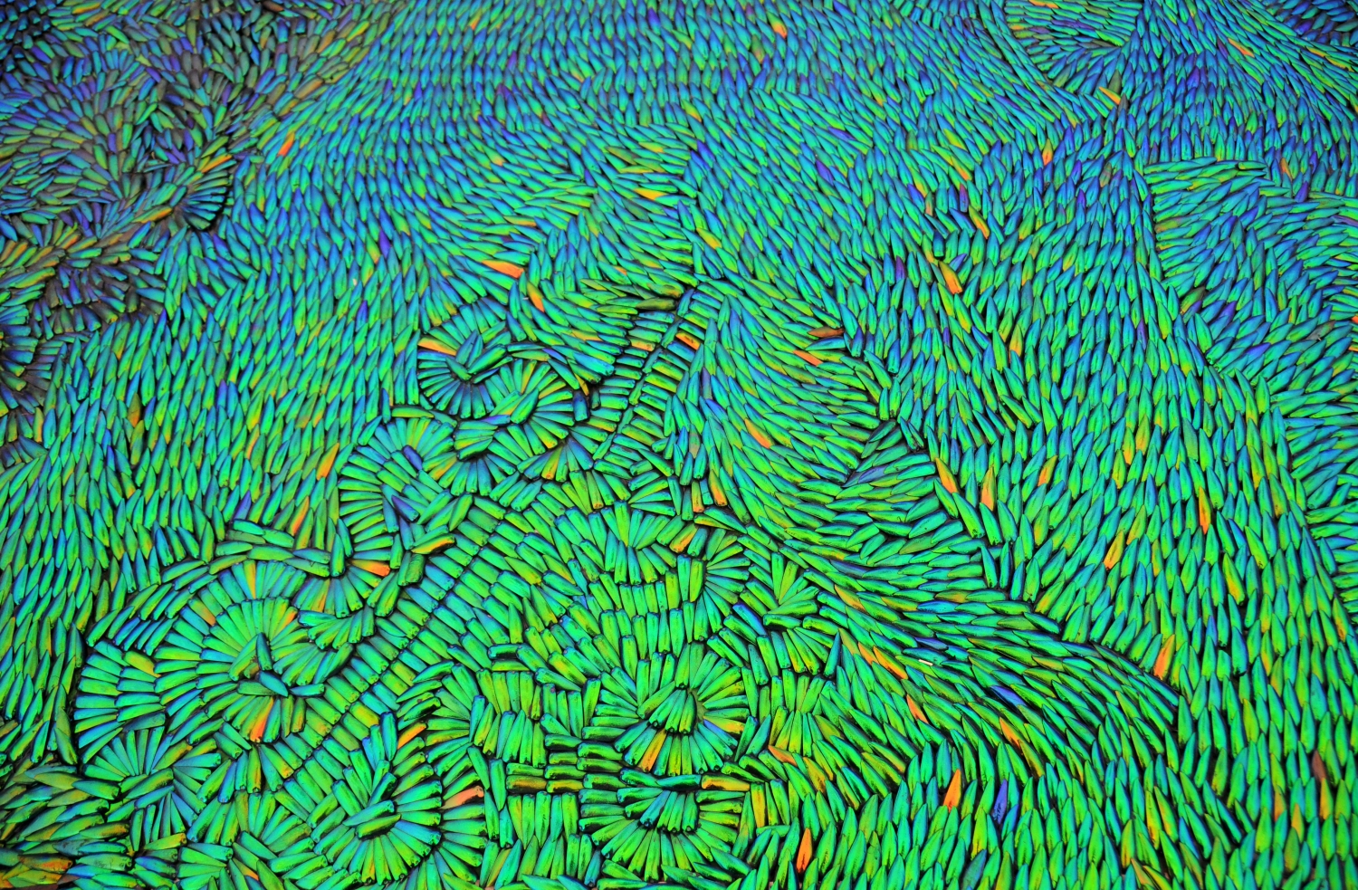 Jan Fabre, 'Heaven of Delight', 2002, courtesy of the artist