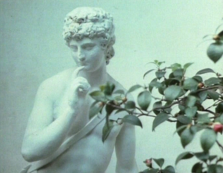 Jef Cornelis, ‘De koninklijke serres van Laken 1877-1902’, 1974 © VRT – courtesy Argos, Centre for Art & Media, Brussel