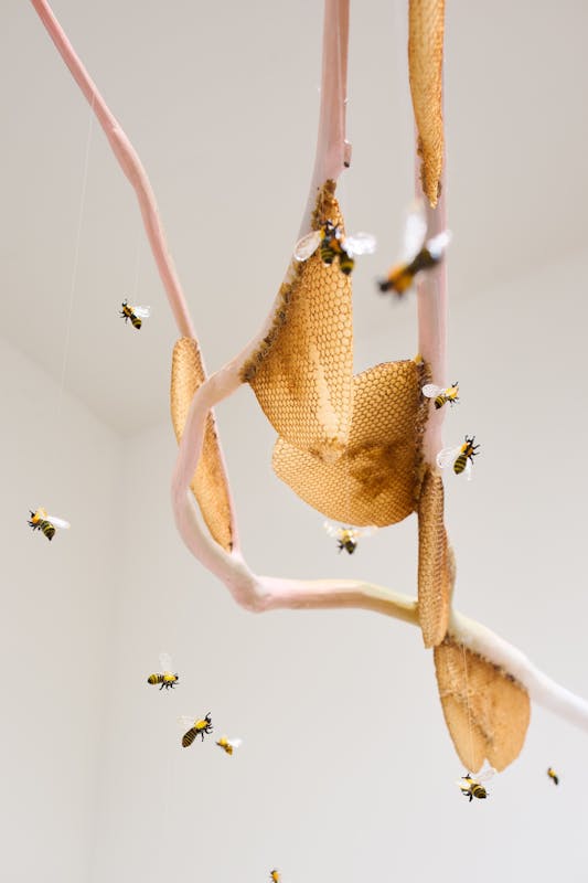 Laure Prouvost, Branche – bees titre TBC , 2024, courtesy de kunstenaar en Galerie Nathalie Obadia (Paris and Brussels), foto Antoine van Kaam