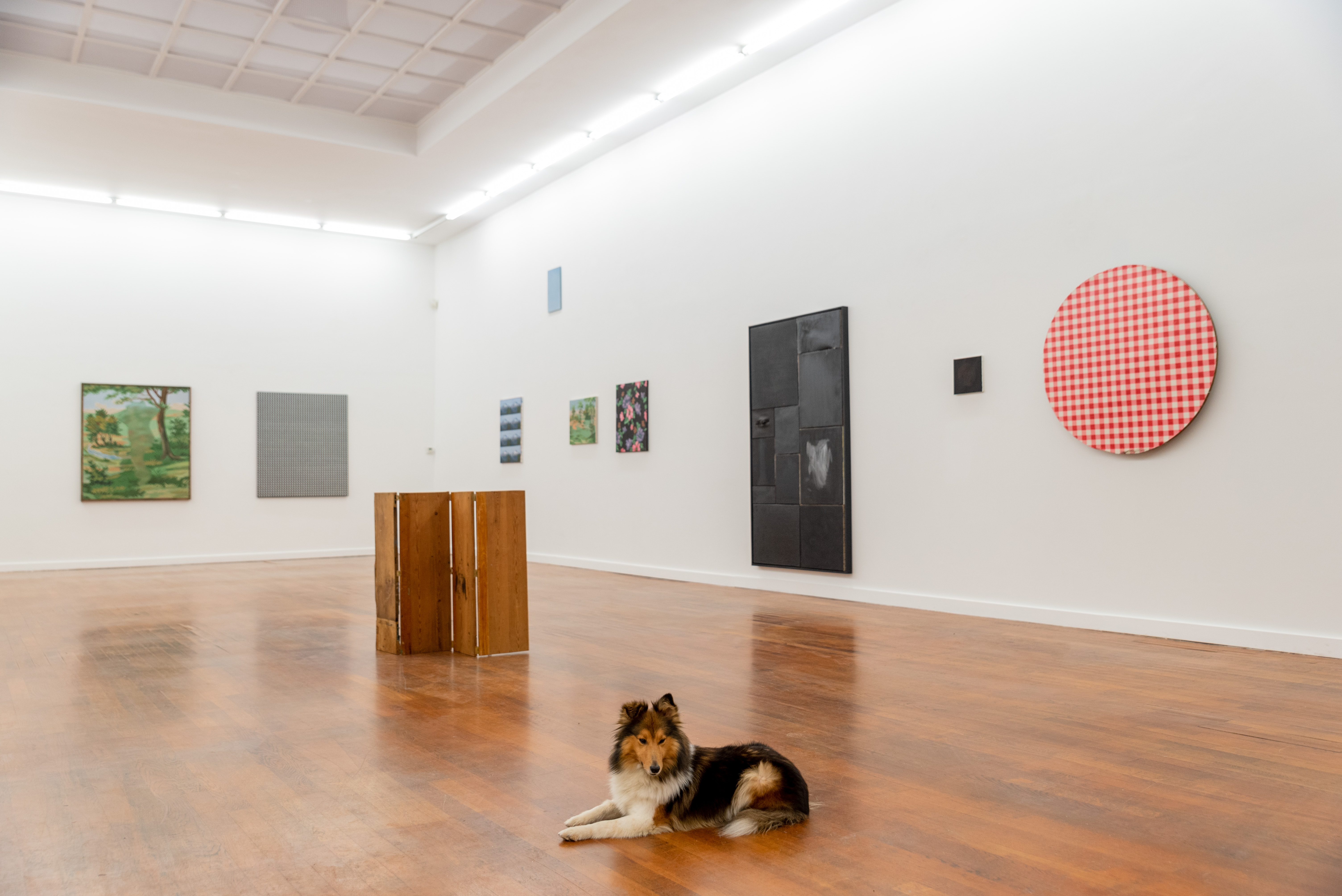 Loïc Van Zeebroek, Laveren met boten en bloemen, installatiezicht. Foto: Alexandra Bertels, courtesy de kunstenaar en Dauwens & Beernaert Gallery, Brussel
