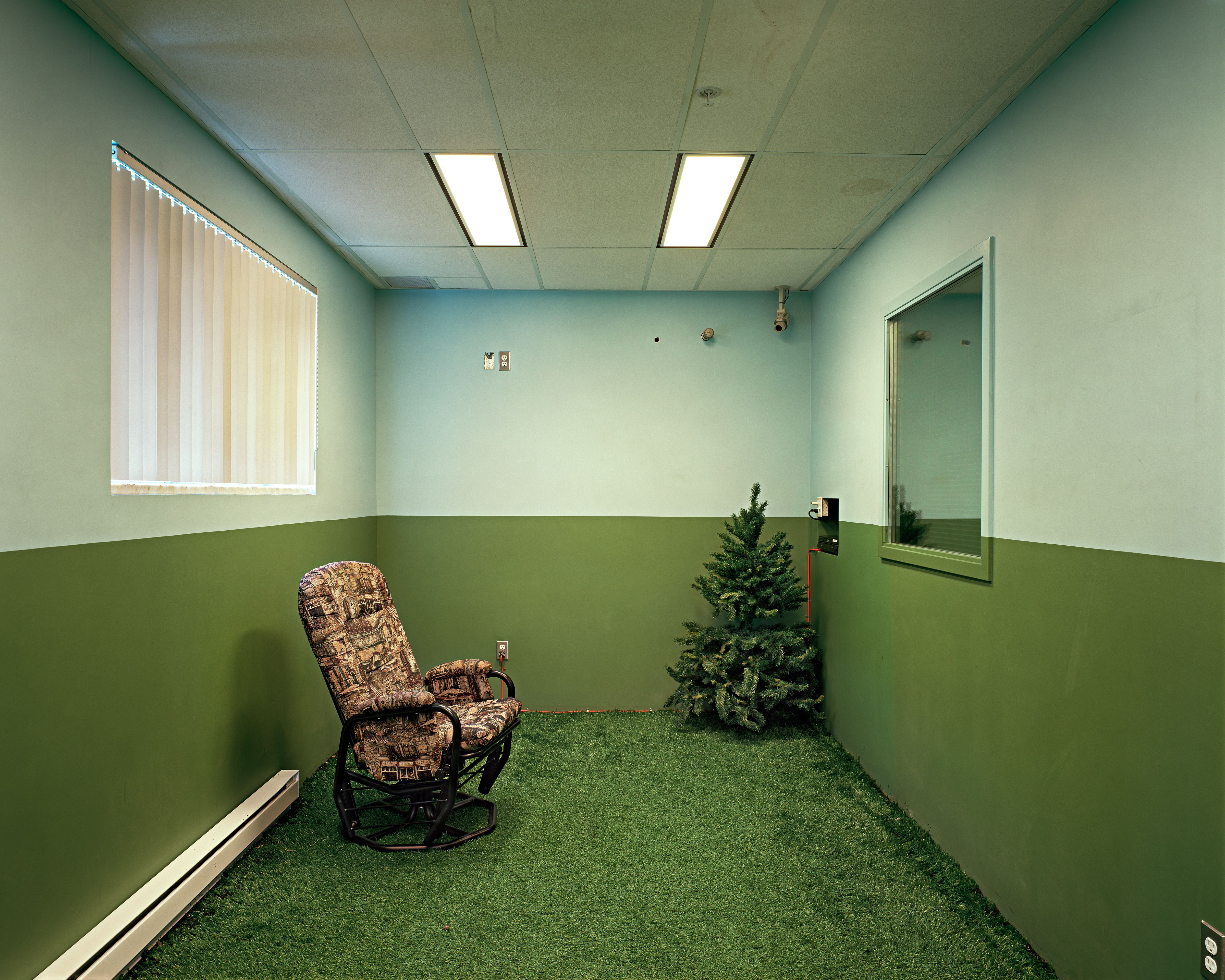 Lynne Cohen, Untitled (Astroturf), 2007, courtesy Olga Korper Gallery