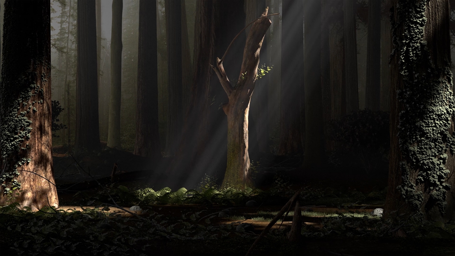 David Claerbout, ‘Travel’, 1996-2013, videostill, HD-animatie in kleur, stereo, courtesy de kunstenaar, Galerie Micheline Szwajcer, Brussel en Sean Kelly, New York