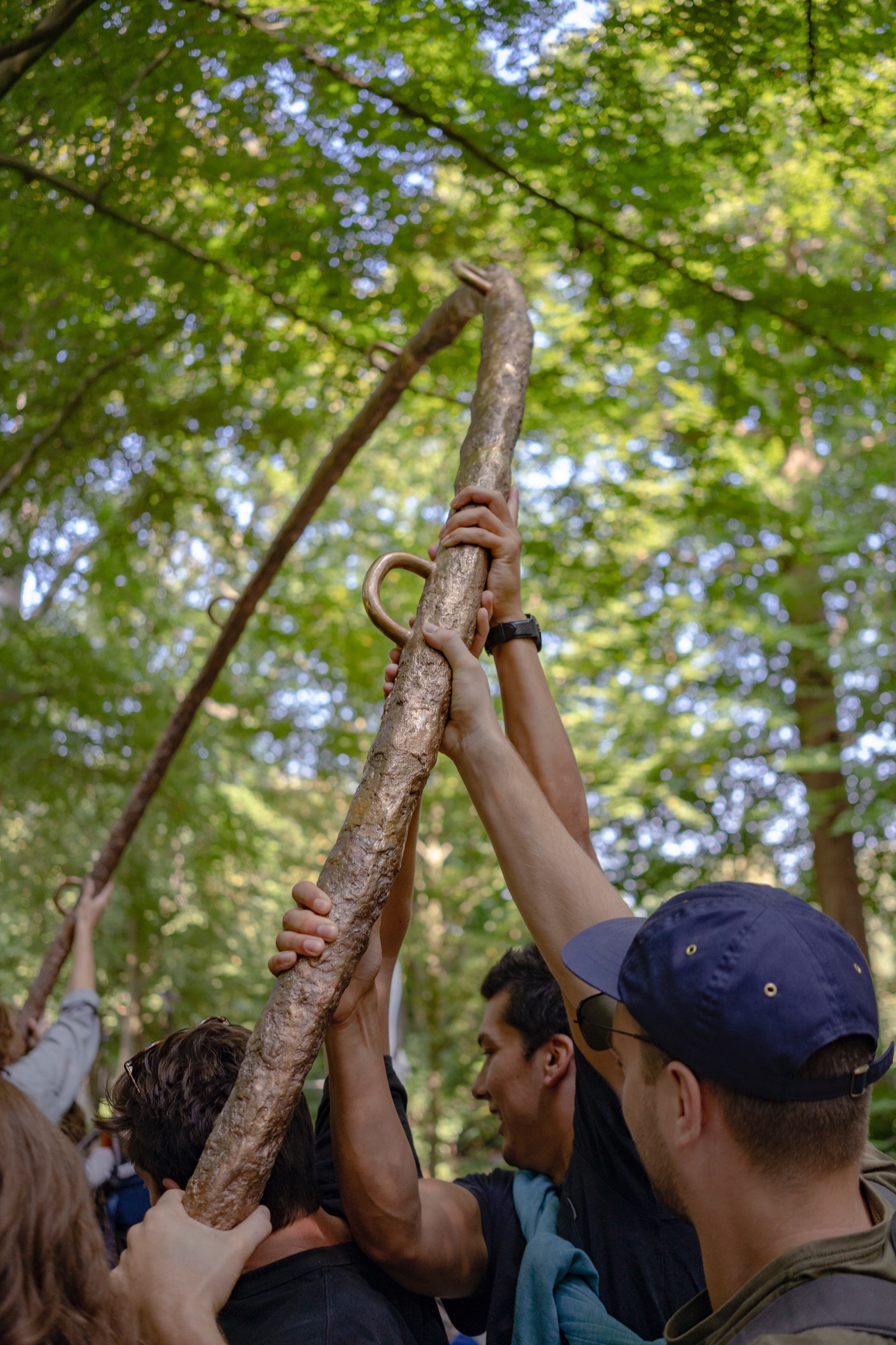 Alle rechten voorbehouden