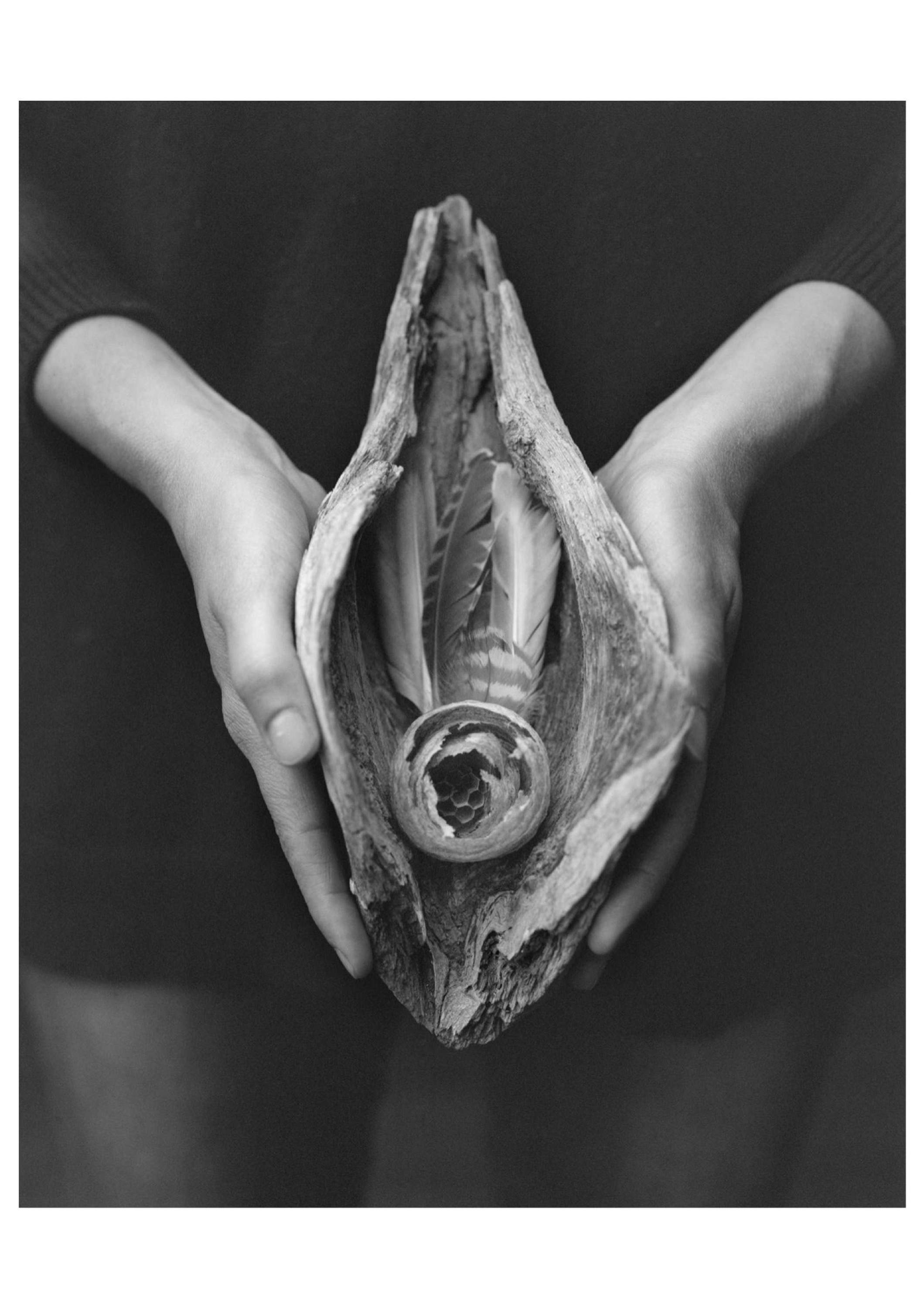 Maja Daniels, Vulva , 2020, digital print, © Maja Daniels
