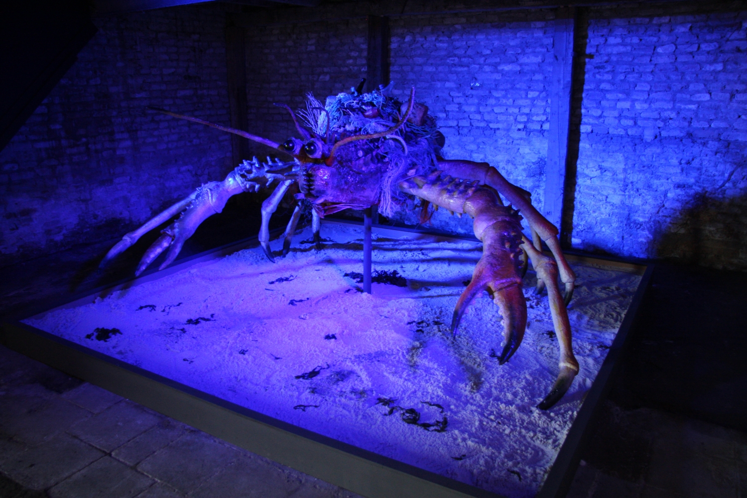 Mark Dion, ‘Decorator Crab’, installatiezicht schuur, 2016 © Stefaan Brackx