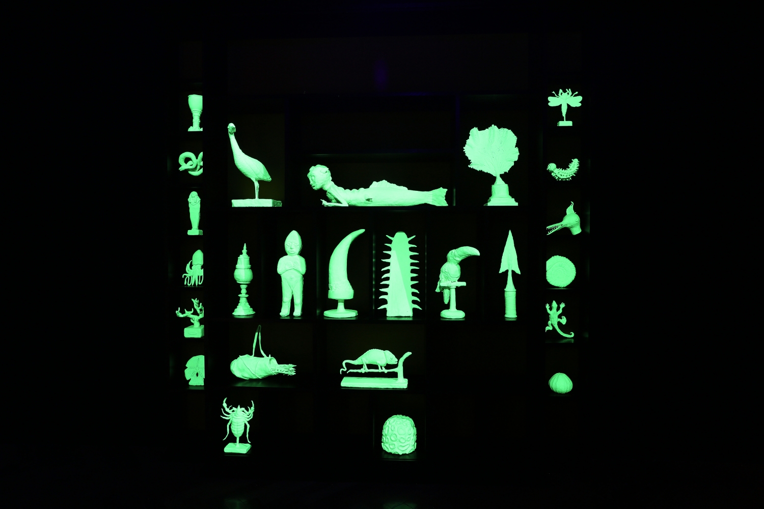 Mark Dion, tentoonstellingszicht ‘Future Histories Mark Dion’, photo Alex Maguire