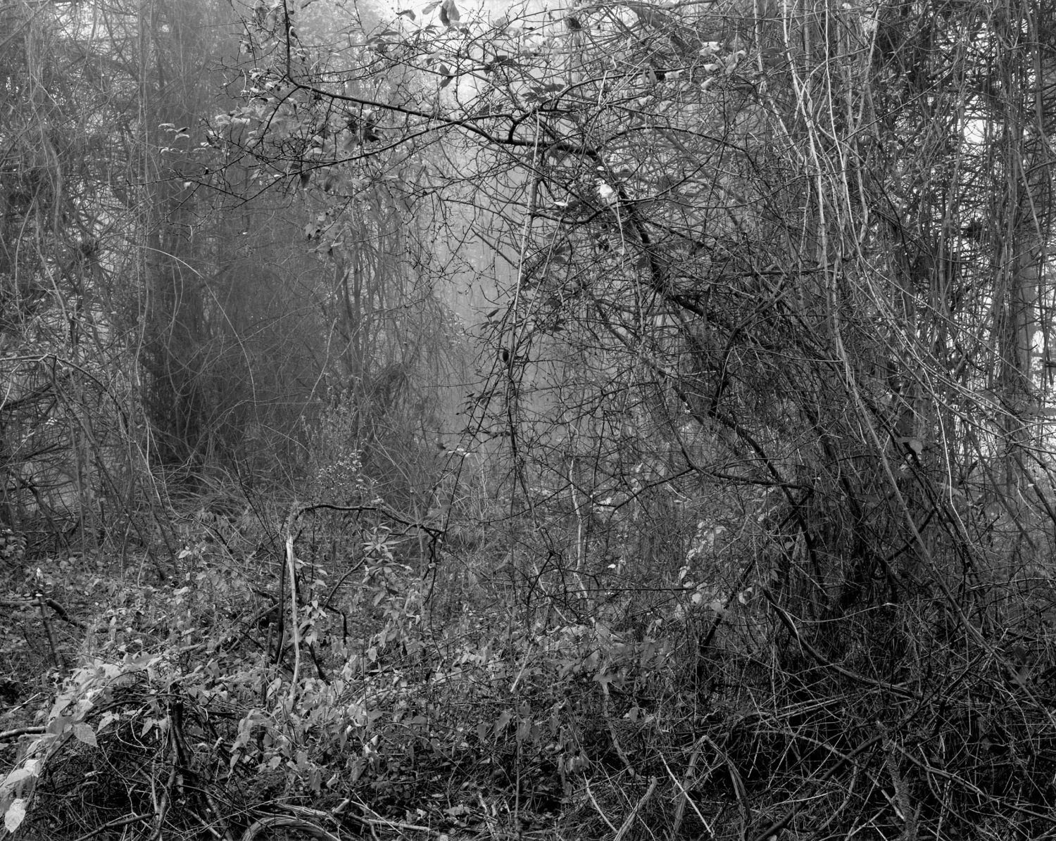 Gilbert-Fastenaekens, ‘Noces’ (Extrait), 1988-1995, © Gilbert-Fastenaekens