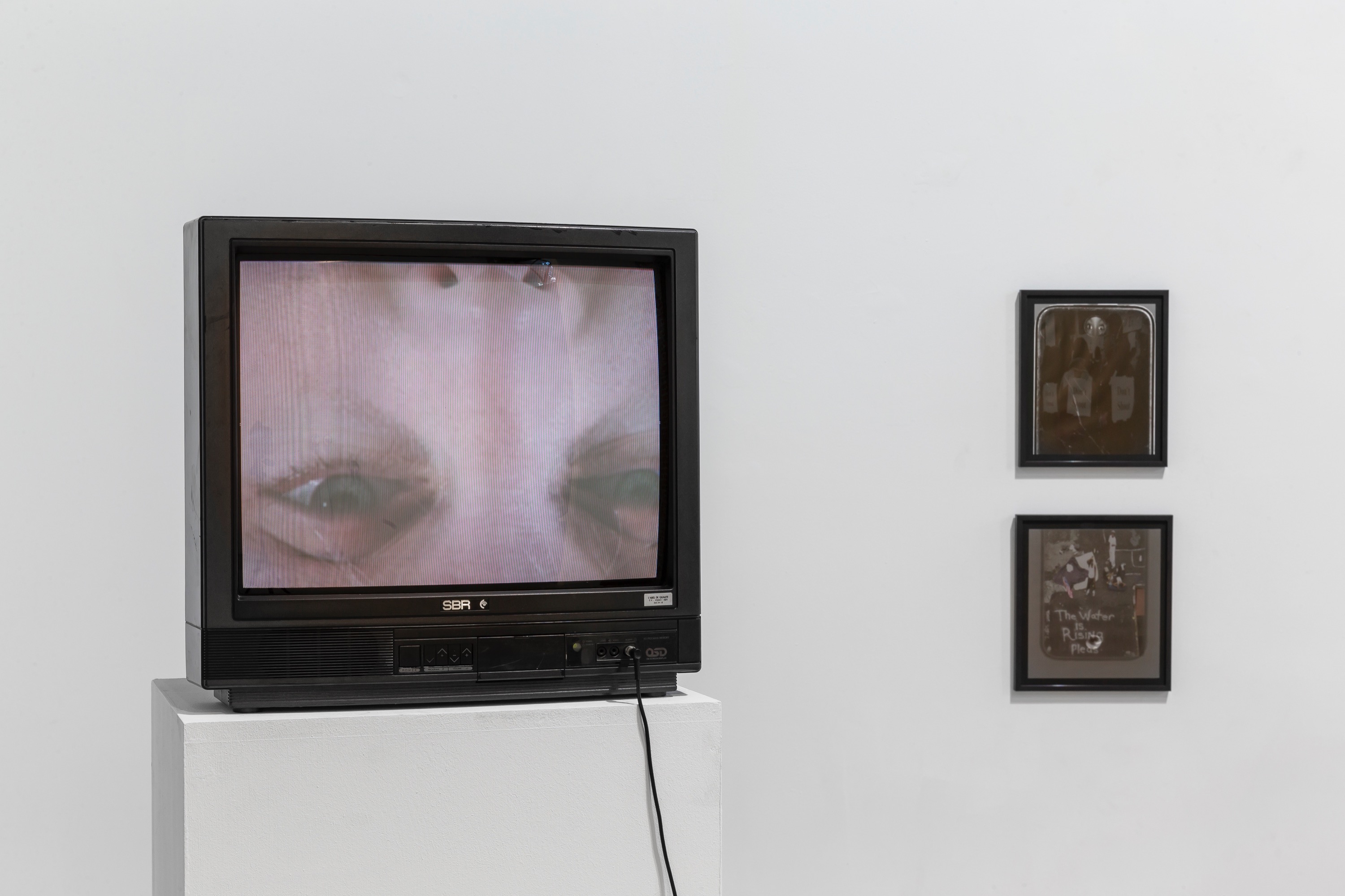 Lynn Hershman Leeson, Seduction of a Cyborg , 1994, single channel video met geluid, kleur, 4:3, 6 min; Lynn Hershman Leeson, Final Water is Rising , 2016, archival digital print, 20,3 × 25,4 cm, foto Luk Vander Plaetse
