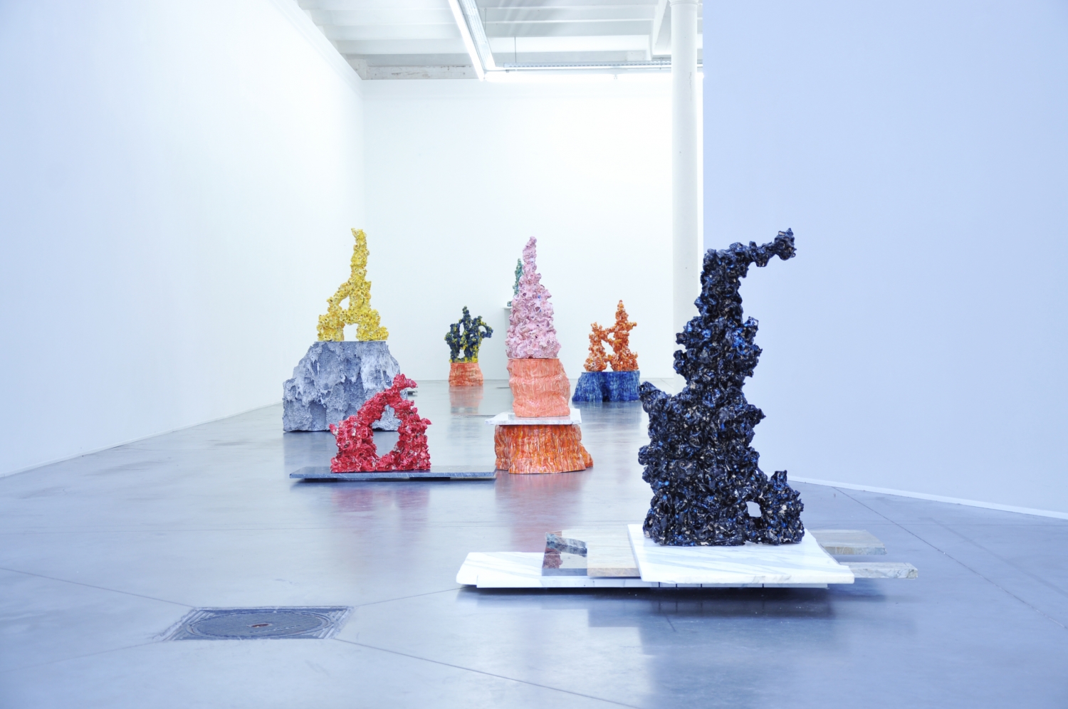 Tamara Van San, 'Standard Poodle, Bowing Monk and other Scholarly Objects', 2016, foto TVS