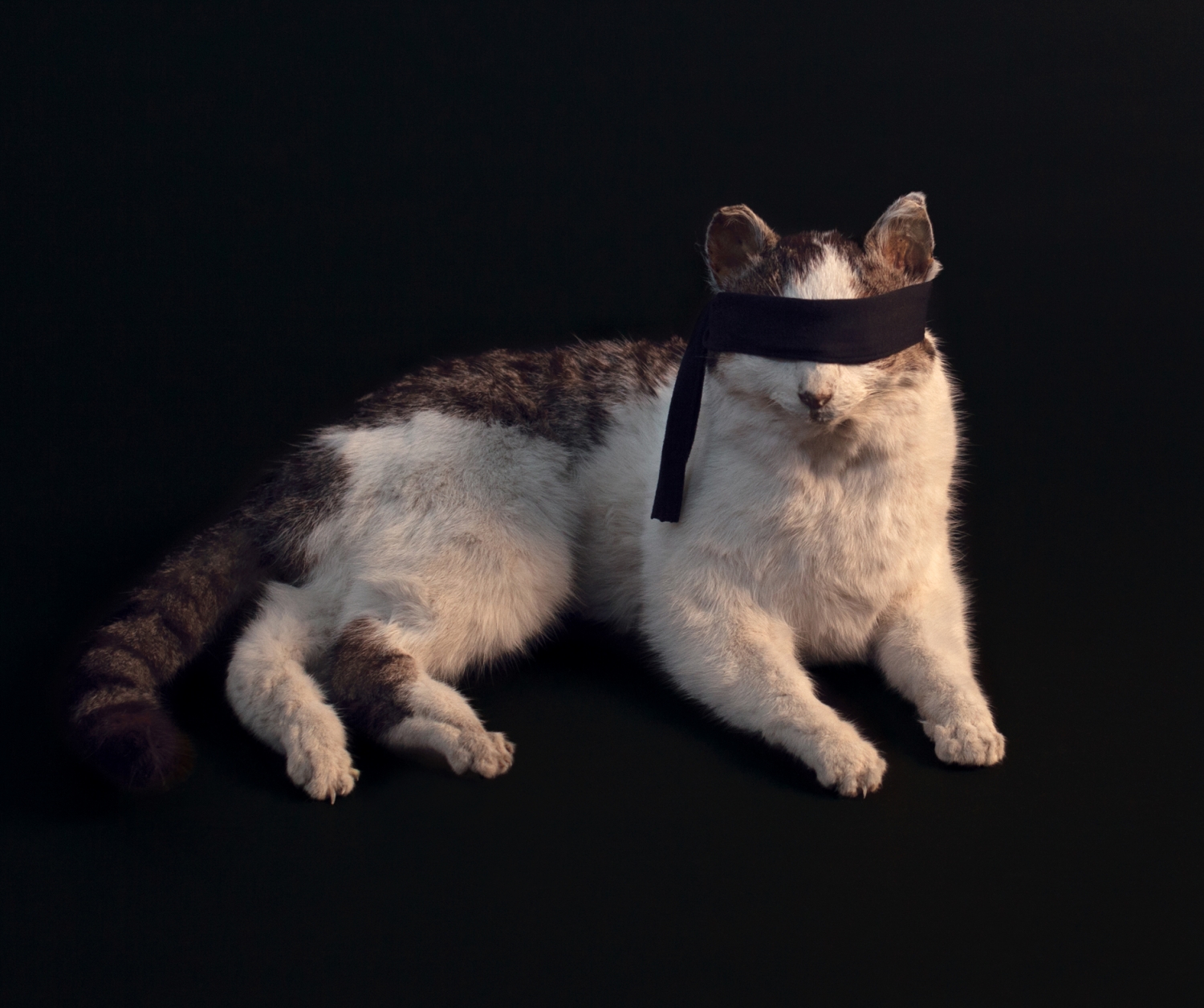 Liesbet Waegemans, 'The world needs to be blindfolded', 2015, © Liesbet Waegemans