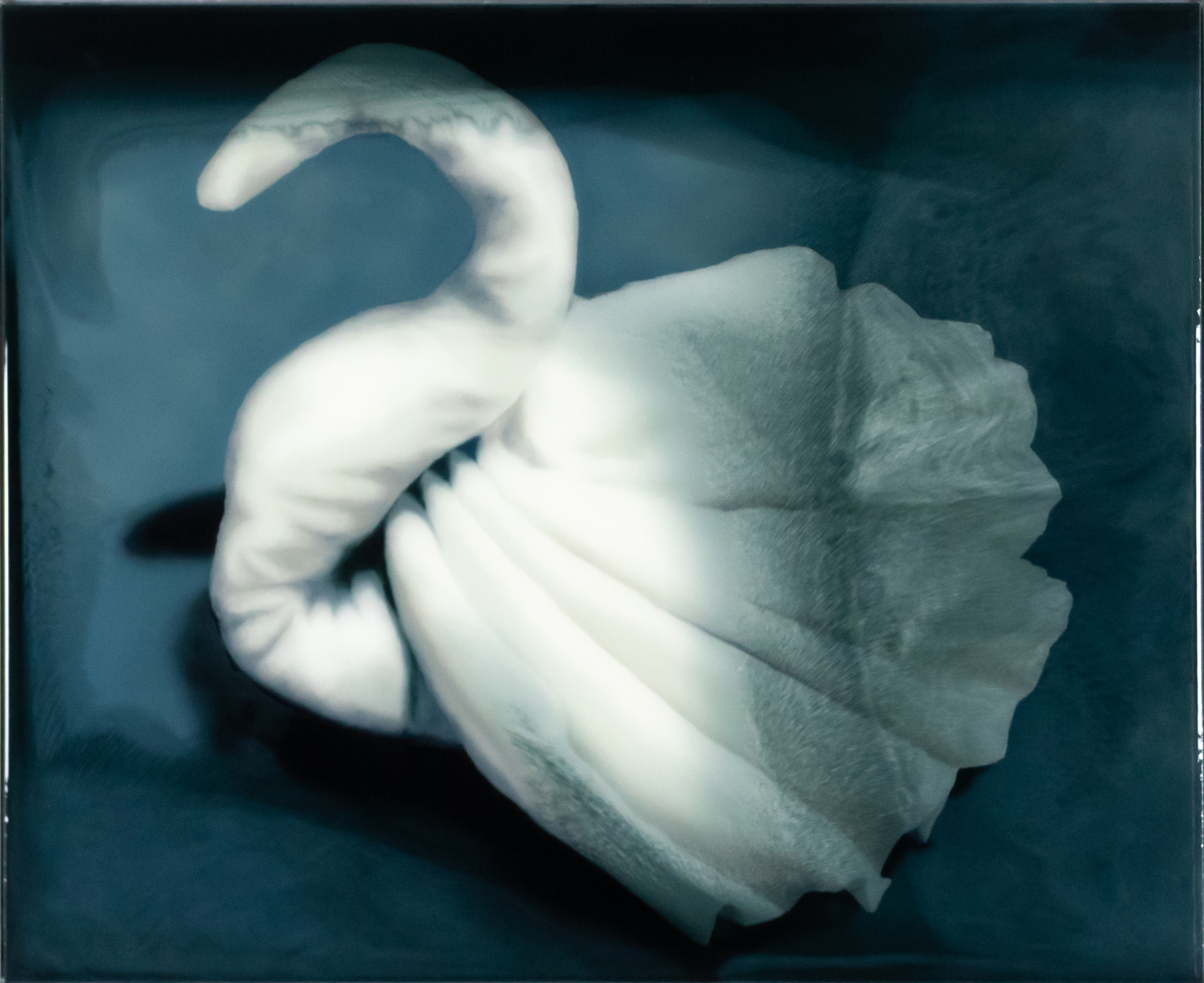 Sarah De Vos, Romance is a Ticket to Paradise