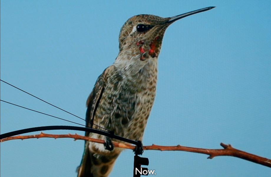 Alle rechten voorbehouden