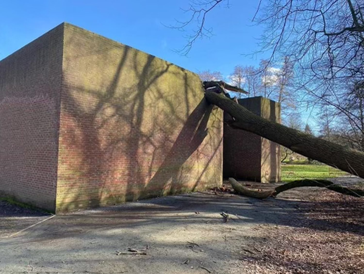 De omgevallen boom op het werk van Per Kirkeby, Zonder titel, Antwerpen Middelheim 1993 (1993). – Alle rechten voorbehouden