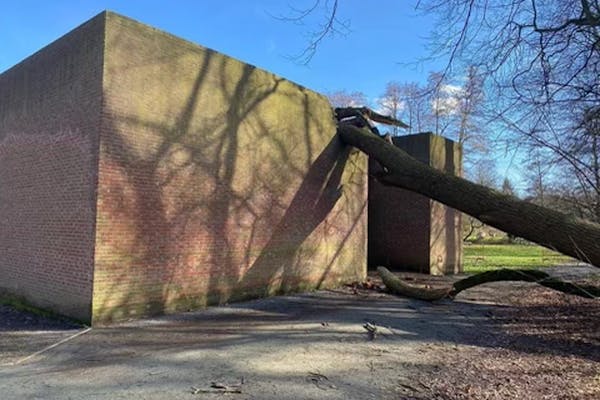 De omgevallen boom op het werk van Per Kirkeby, Zonder titel, Antwerpen Middelheim 1993 (1993). – Alle rechten voorbehouden